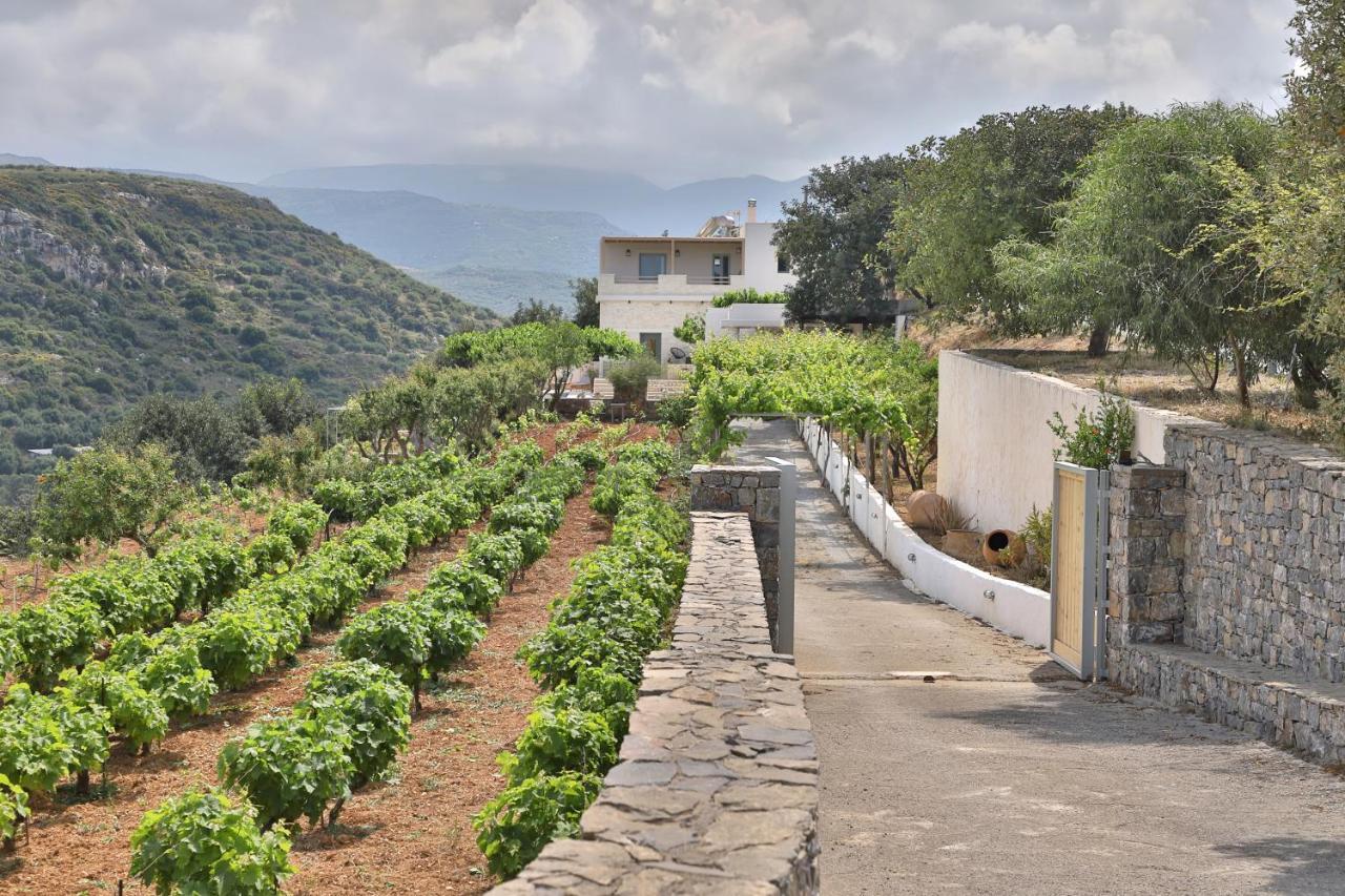 Amvikas Suites-Sitia Exterior foto